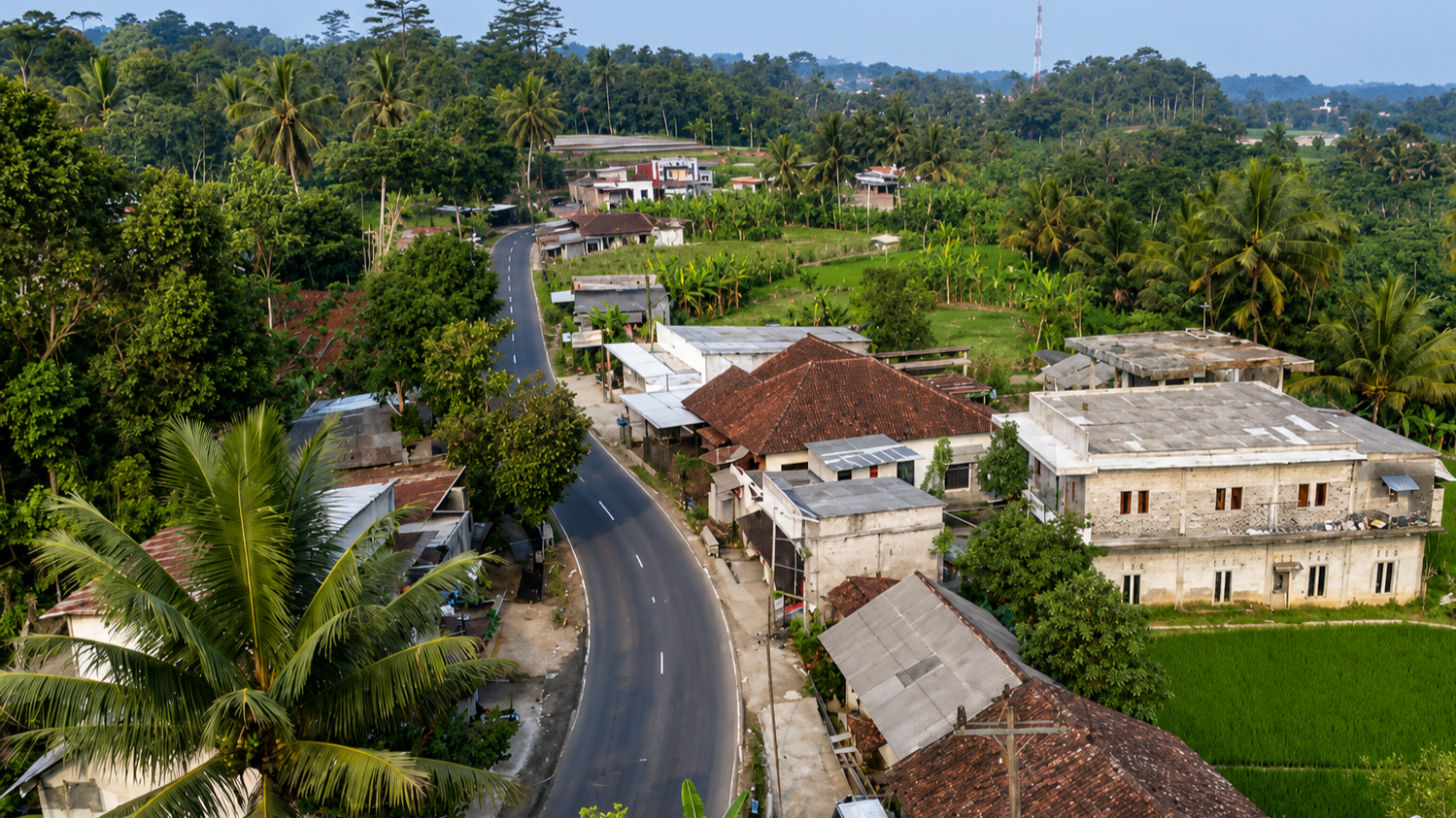 Pemandangan indah Desa Kapulogo dengan sawah hijau dan rumah-rumah tradisional